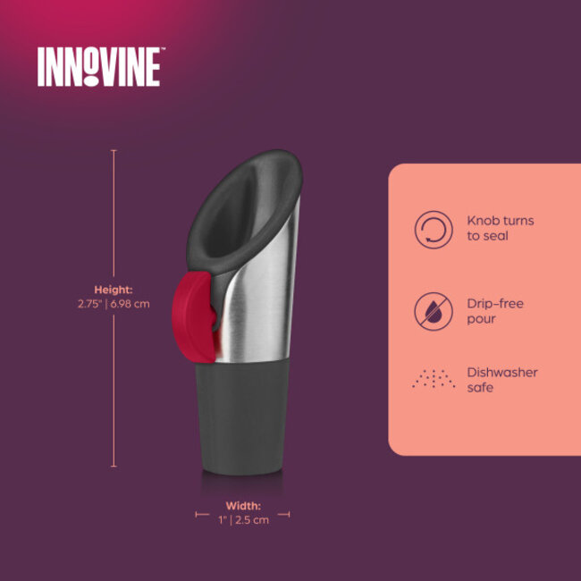 Innovine™ Wine Pourer and Stopper in Raspberry