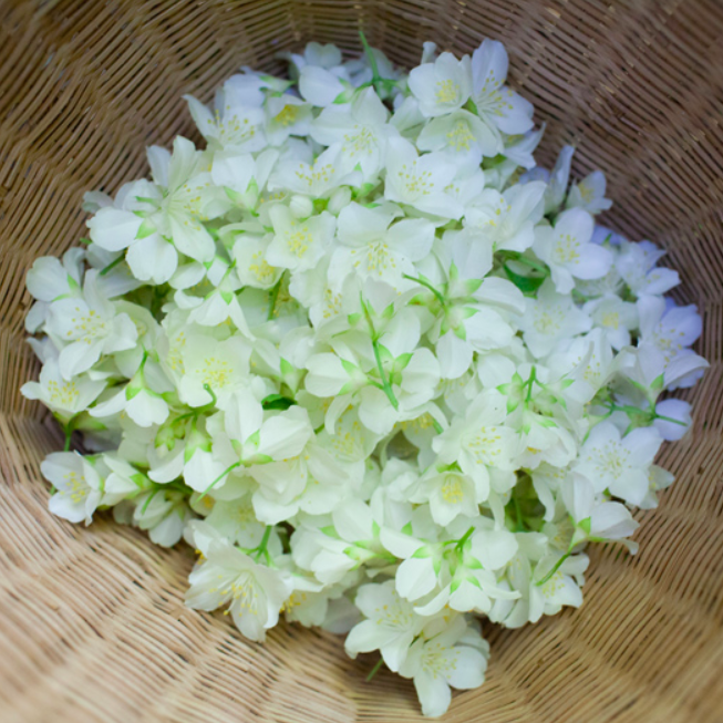 Seizoenszeep zomer | Van Bos tot Bad