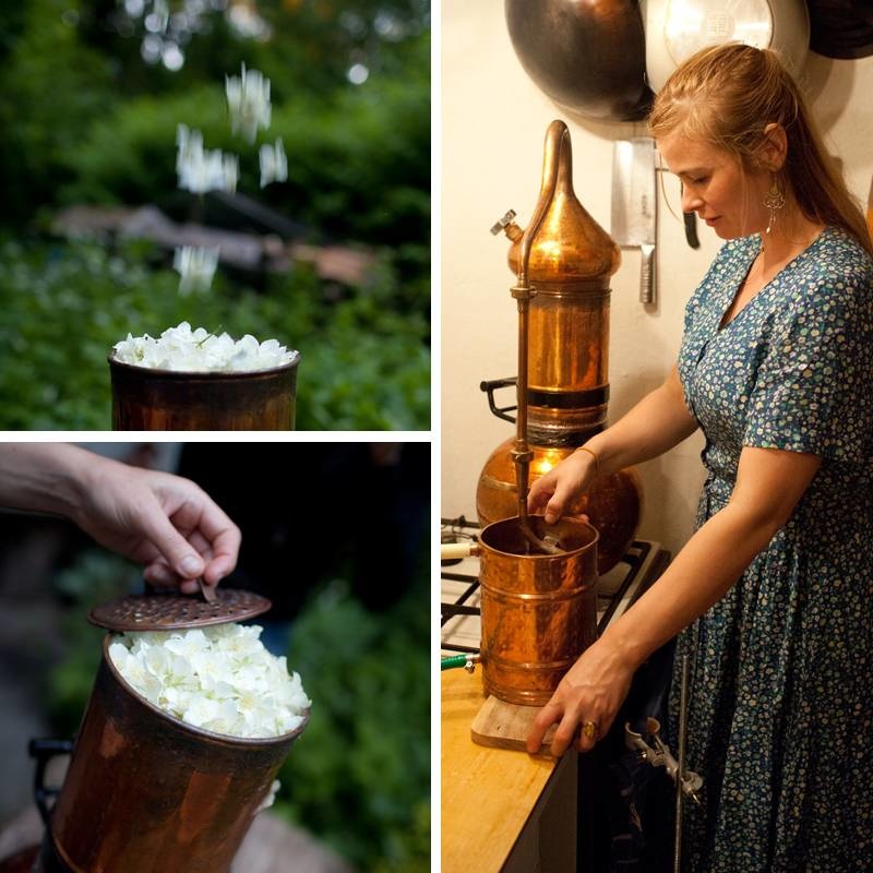 Seizoenszeep zomer | Van Bos tot Bad