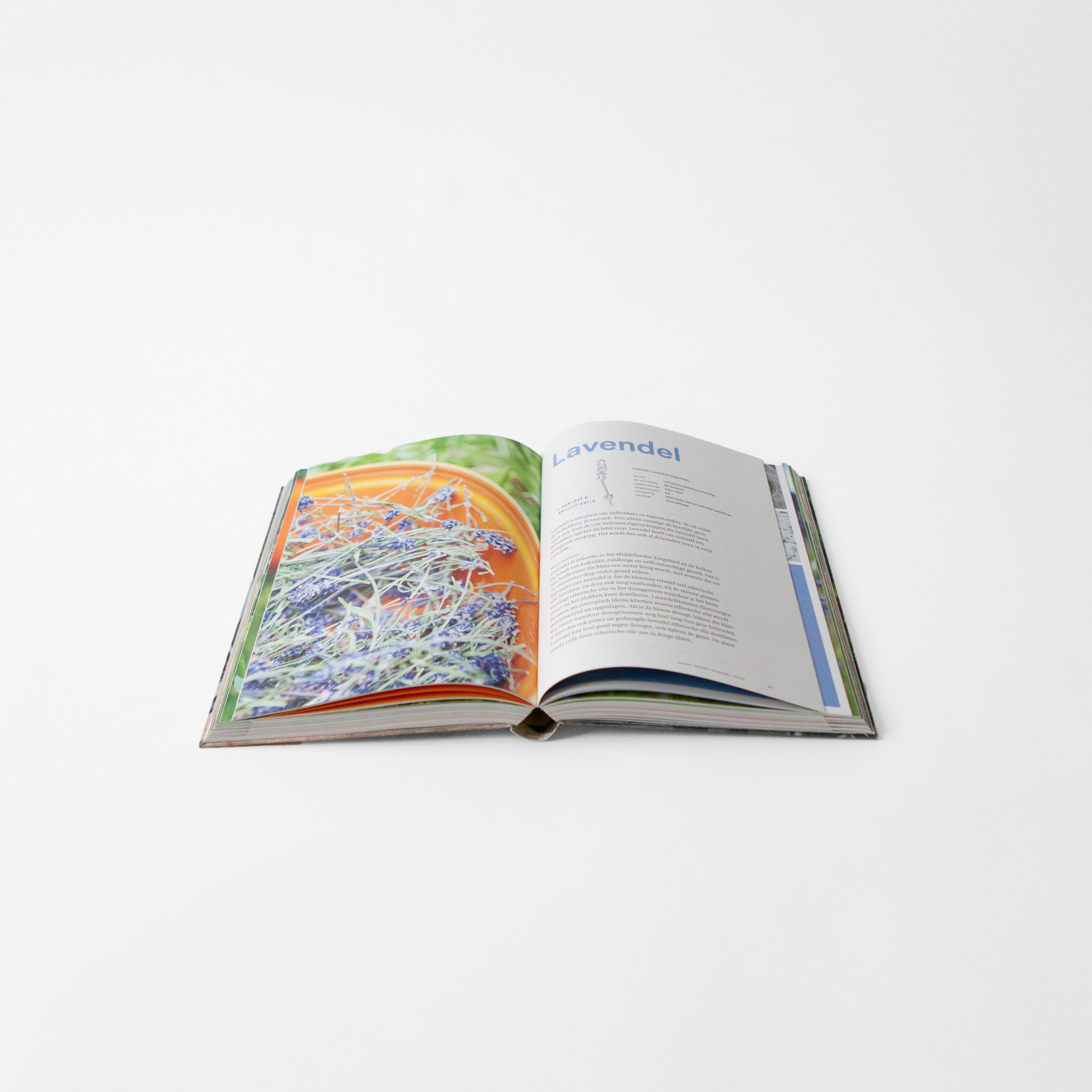 Twee zeepboeken! - de keuken van Werfzeep