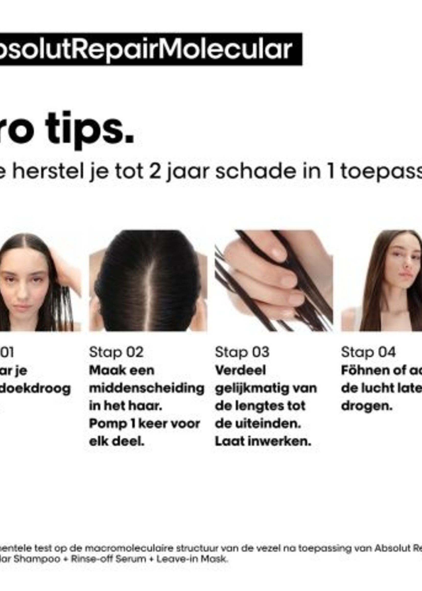 L'Oreal Professionnel L'Oreal SE Absolut Repair Molecular Shampoo