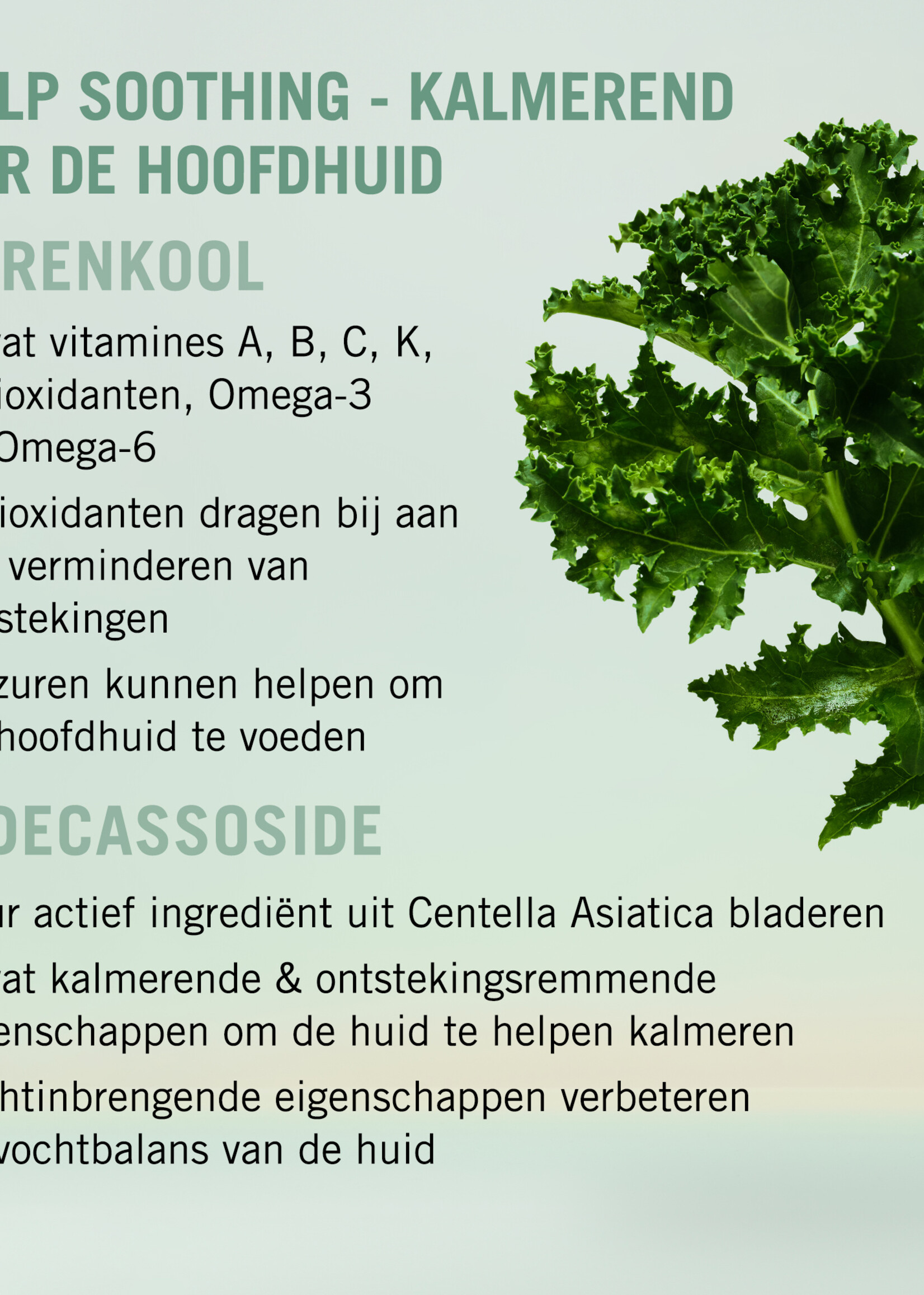 Schwarzkopf Professional Schwarzkopf Bonacure Scalp Soothing Shampoo