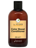 Carin Carin So Vegan Color Boost Conditioner