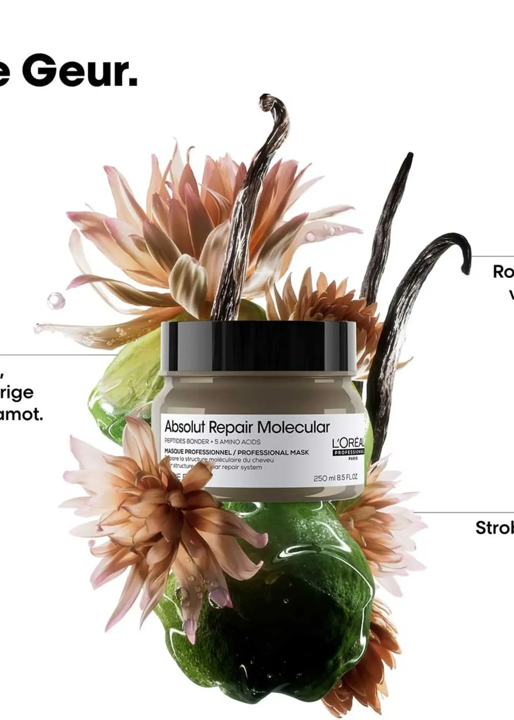 L'Oreal Professionnel L'Oreal SE Absolut Repair Molecular Masker