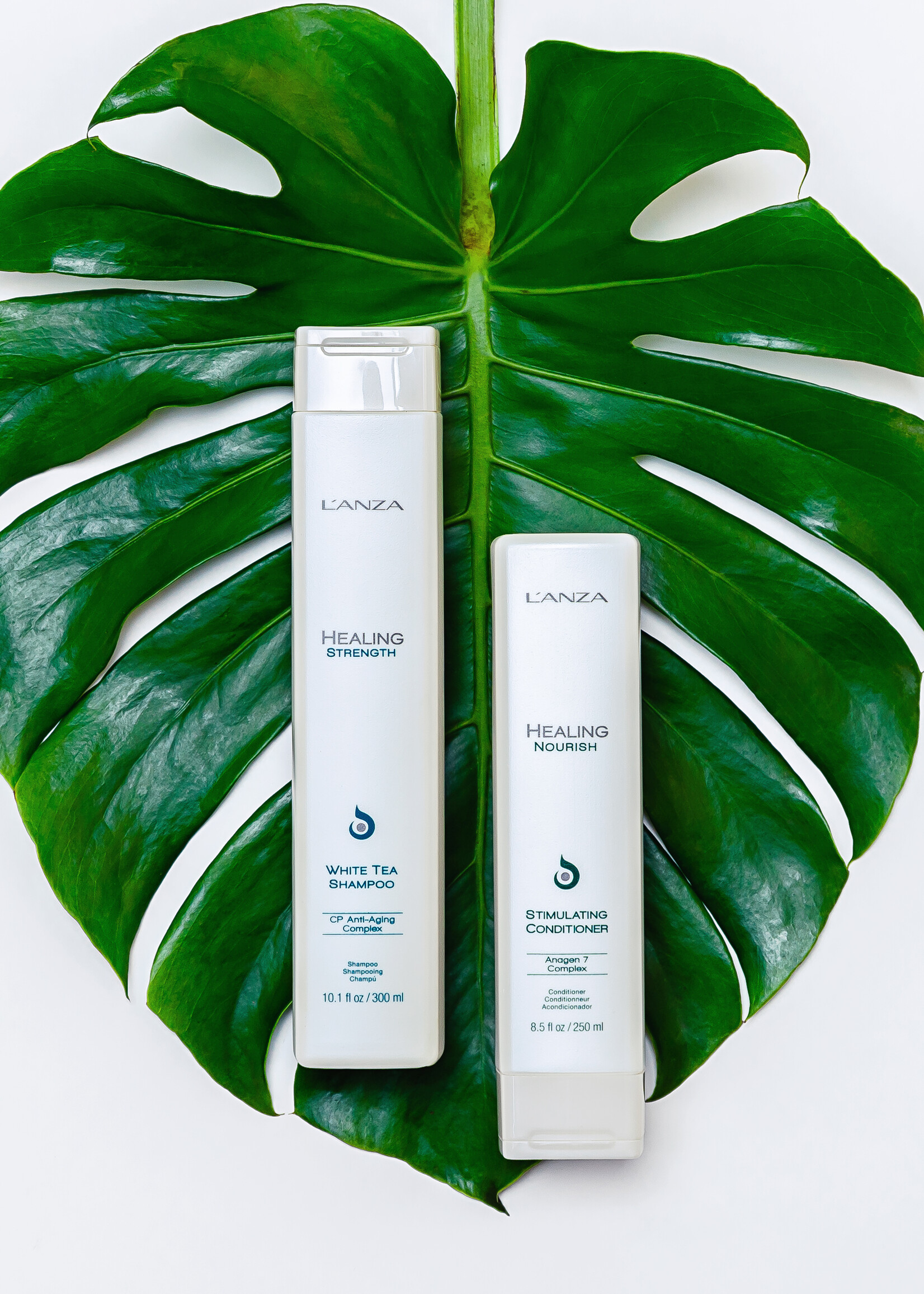 L'ANZA L'ANZA Healing Strength White Tea Shampoo