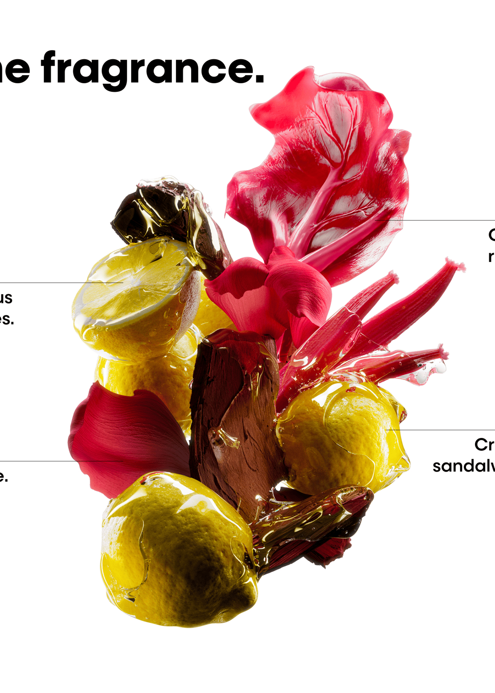 L'Oreal Professionnel L'Oreal SE Vitamino Color Spectrum Deluxe XL Set - 1500+750+500+50ml