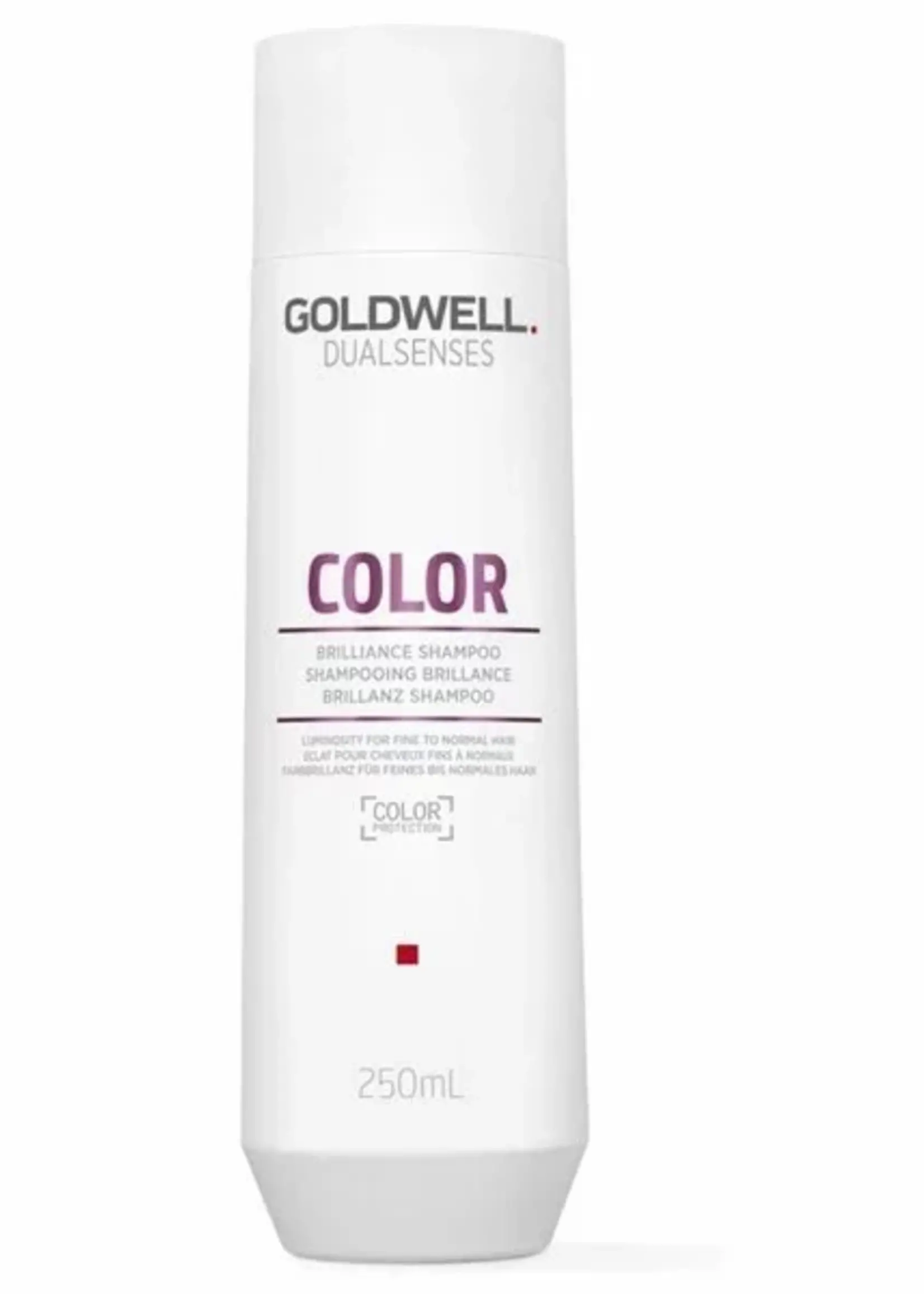 Goldwell Goldwell Dualsenses Color Brilliance Shampoo