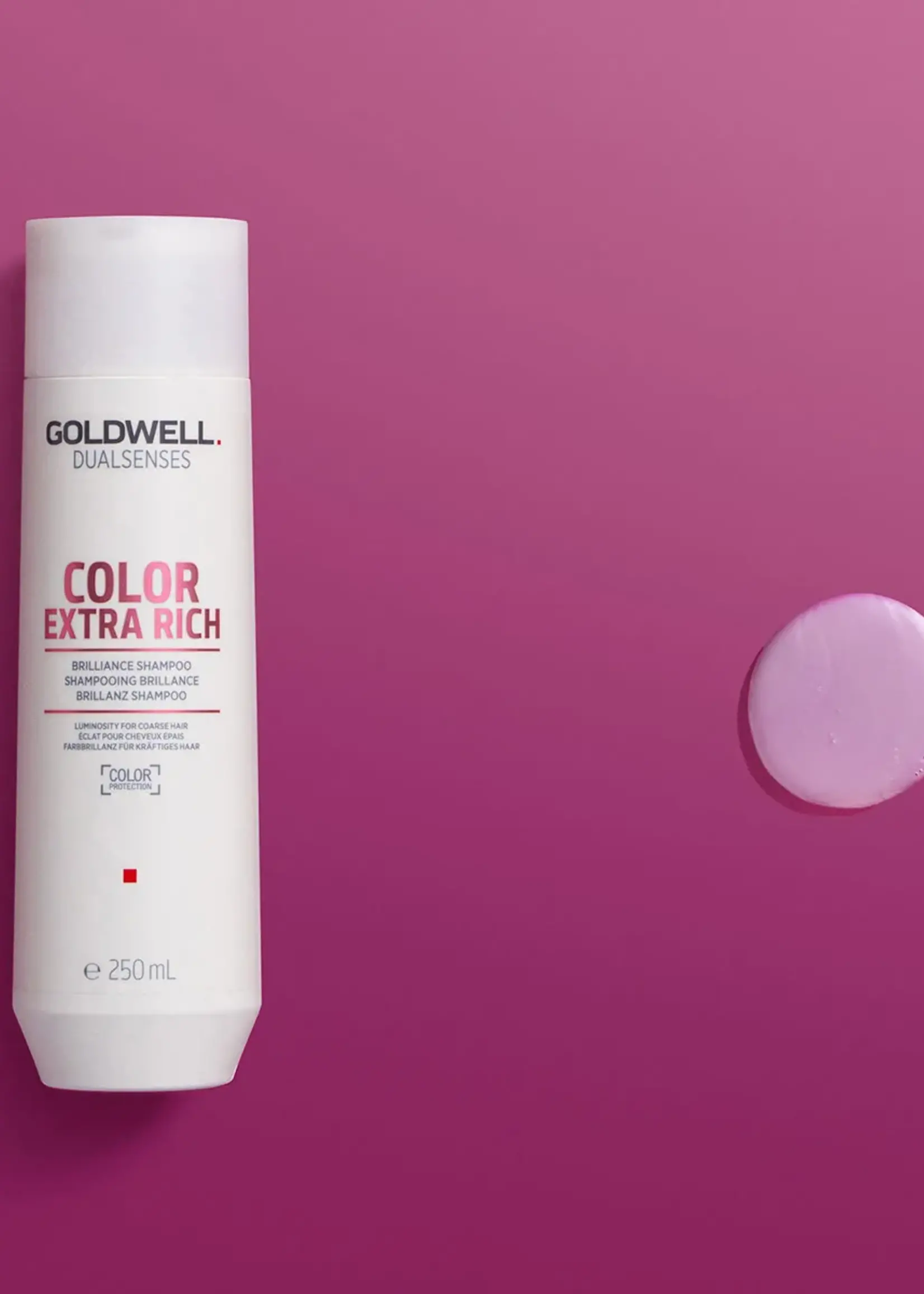 Goldwell Goldwell Dualsenses Color Brilliance Extra Rich Shampoo