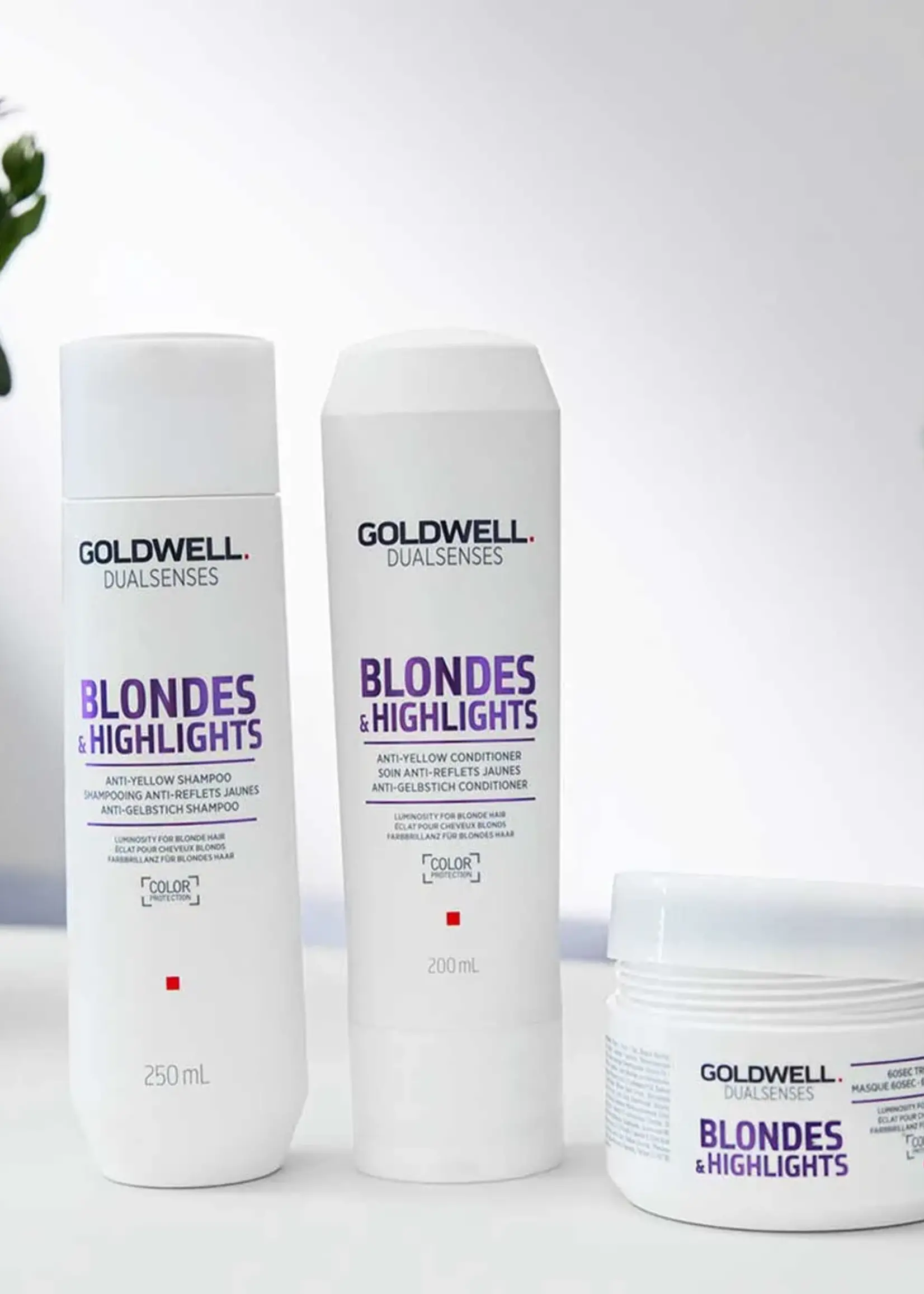Goldwell Goldwell Dualsenses Blondes & Highlights Anti-Yellow Shampoo