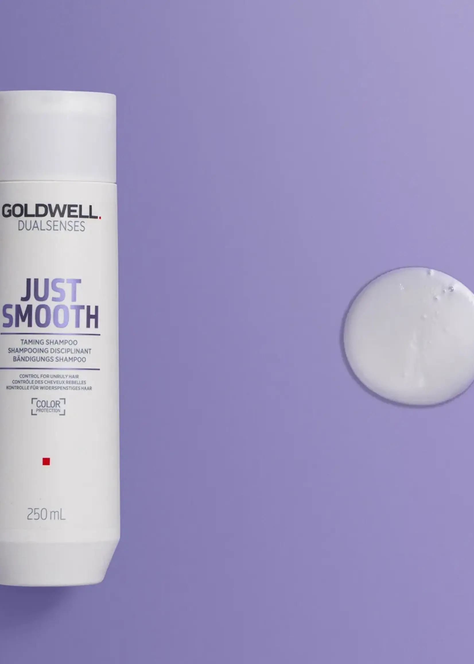 Goldwell Goldwell Dualsenses Just Smooth Taming Shampoo