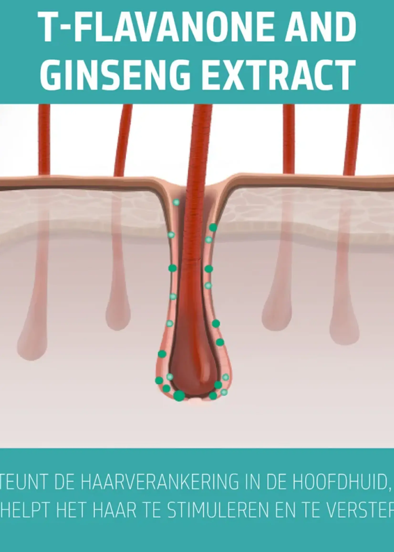 Goldwell Goldwell Dualsenses Scalp Specialist Anti Hairloss Serum - 150 ml