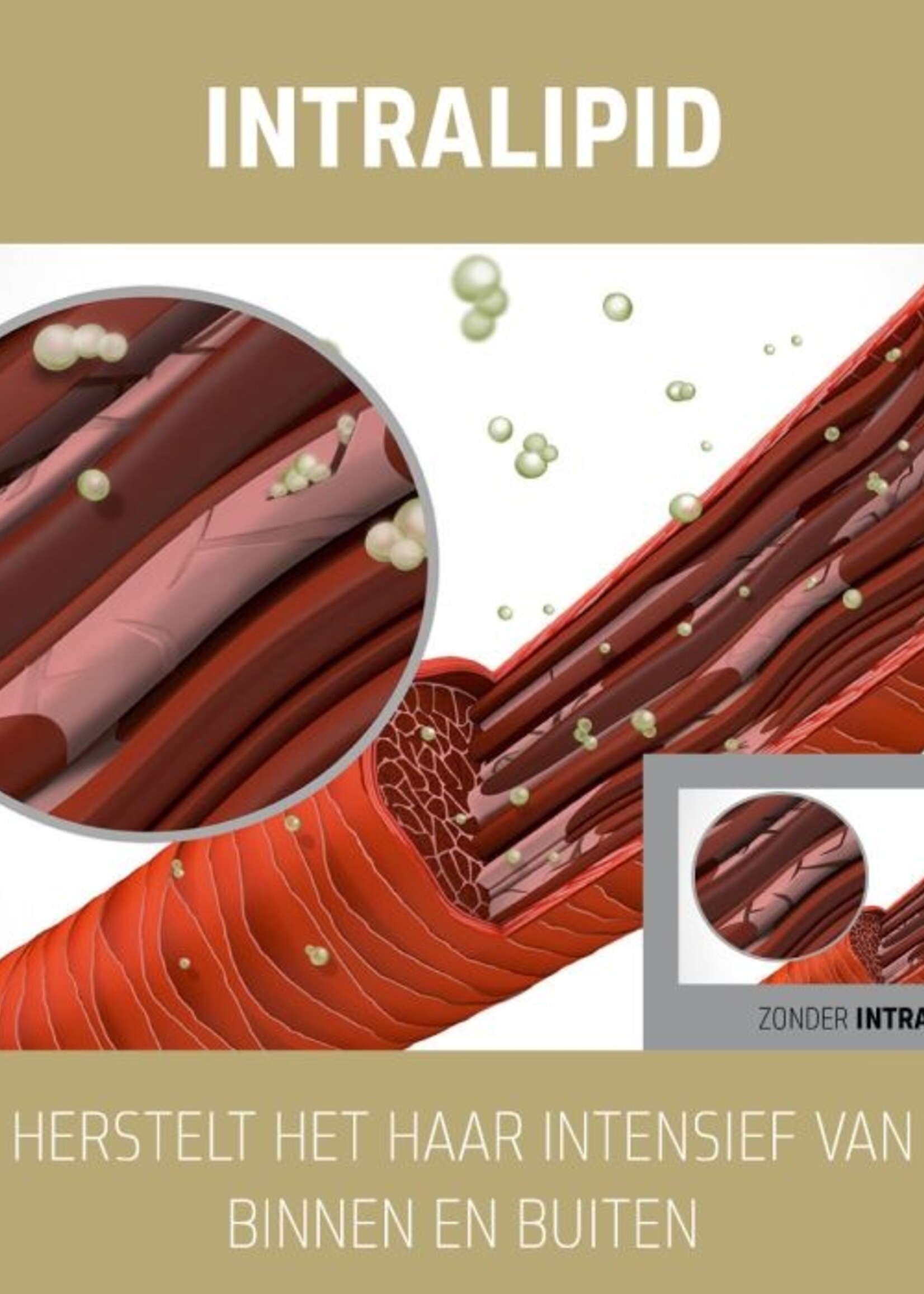 Goldwell Goldwell Dualsenses Rich Repair Liter Set - 2x1000ml