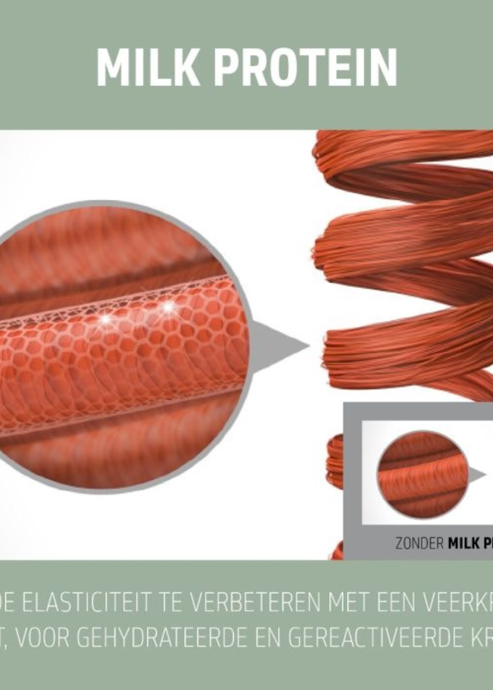 Goldwell Goldwell Dualsenses Curls & Waves Duo Set - 250+200ml