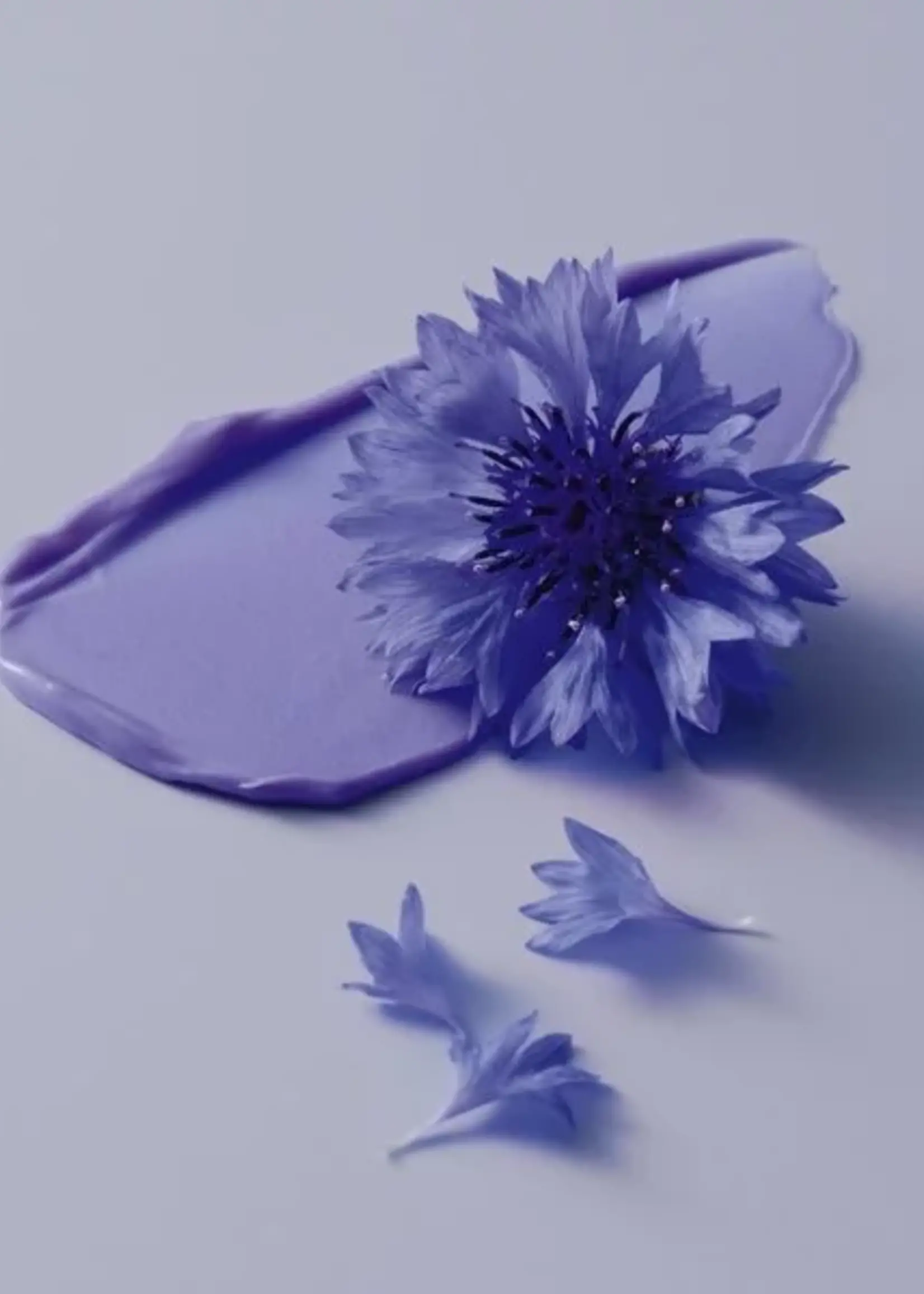 Schwarzkopf Professional Schwarzkopf BlondMe Bond Repair Purple Shampoo