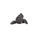 HS Aqua Producten | Alles voor een Gezond & Helder Aquarium Aquarium steen Dark Night Rock