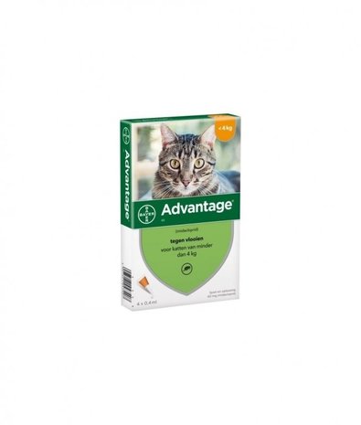 Advantage Advantage Kat