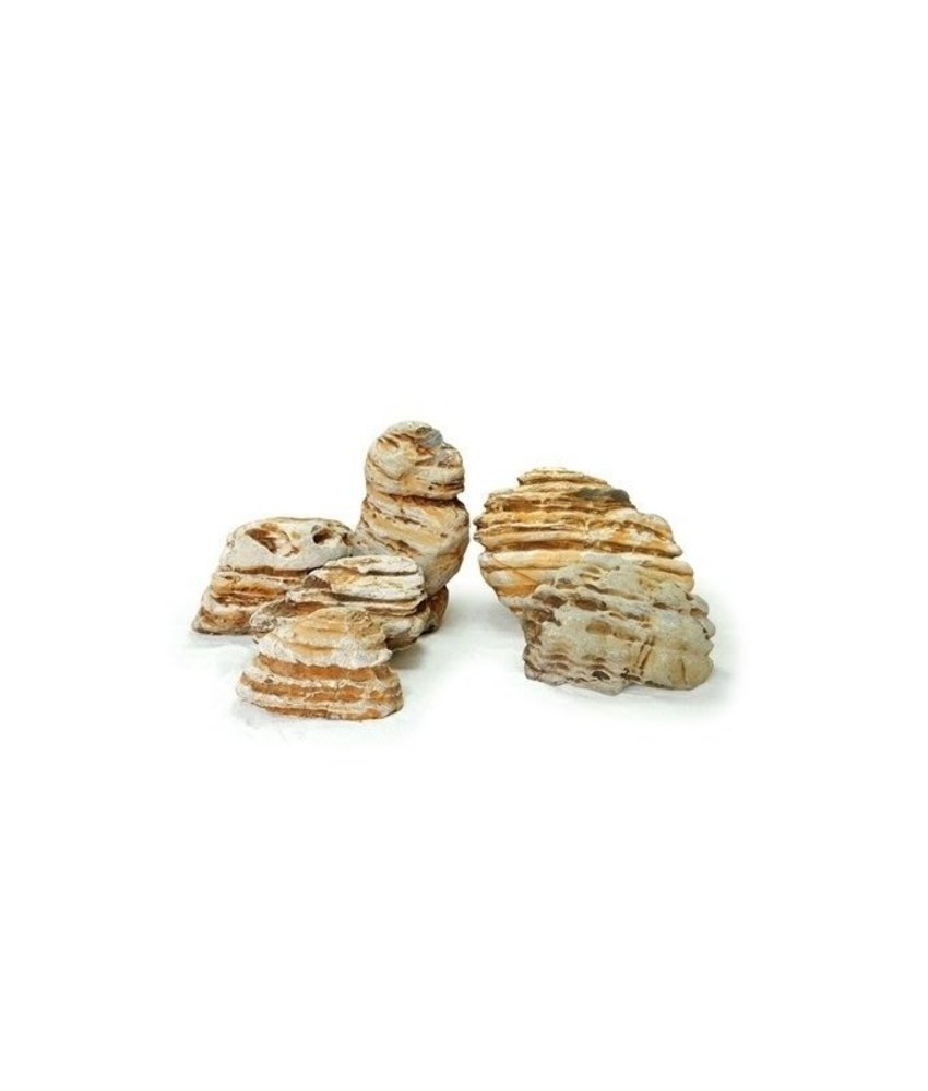 HS Aqua Producten | Alles voor een Gezond & Helder Aquarium Aquarium steen Kowloon Rock M HS Aqua Producten | Alles voor een Gezond & Helder Aquarium Aquarium steen Kowloon Rock M