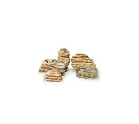 HS Aqua Producten | Alles voor een Gezond & Helder Aquarium Aquarium steen Kowloon Rock M