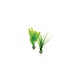 Biorb BiOrb planten set klein groen Biorb BiOrb planten set klein groen
