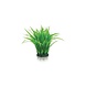 Biorb BiOrb Grasring Groen Biorb BiOrb Grasring Groen