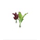 Biorb Biorb Zijden Plantenset | Medium | Groen & paars Biorb Biorb Zijden Plantenset | Medium | Groen & paars