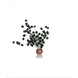 Biorb Biorb Bonsai Bal Zwart Biorb Biorb Bonsai Bal Zwart