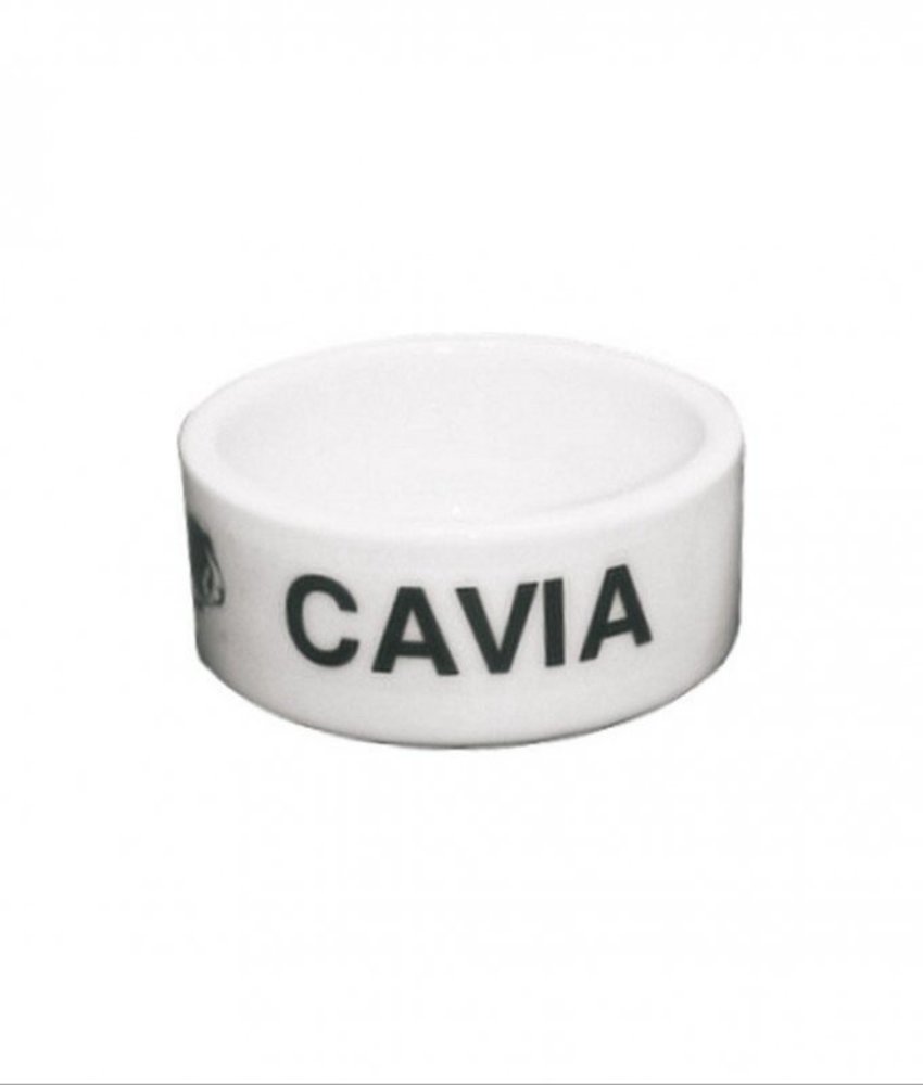 VDM Cavia VDM Cavia