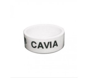 VDM Cavia VDM Cavia