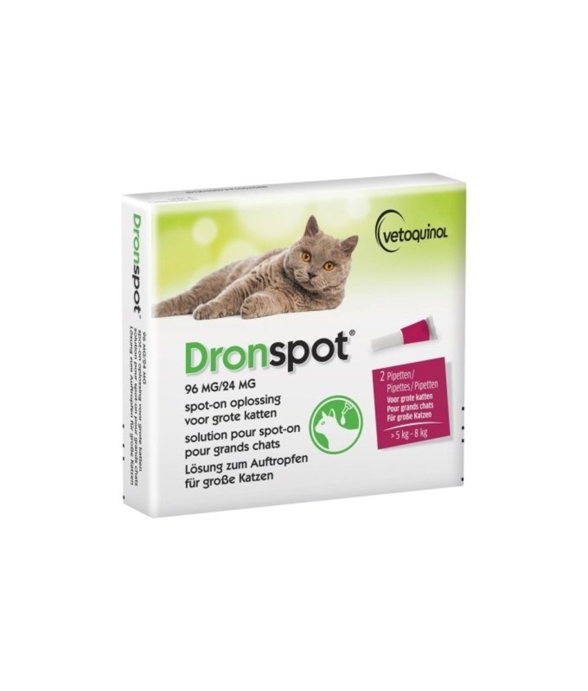 Dronspot Dronspot Kat Dronspot Dronspot Kat