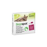 Dronspot Dronspot Kat Dronspot Dronspot Kat