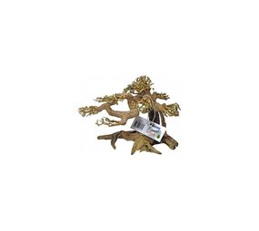 Superfish Handmade Bonsai Tree Superfish Handmade Bonsai Tree