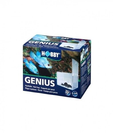 Hobby Hobby Genius Visval