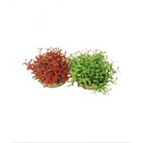 Sydeco Kunststof plant waterballmaxi 10 cm Sydeco Kunststof plant waterballmaxi 10 cm