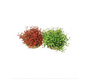 Sydeco Kunststof plant waterballmaxi 10 cm Sydeco Kunststof plant waterballmaxi 10 cm