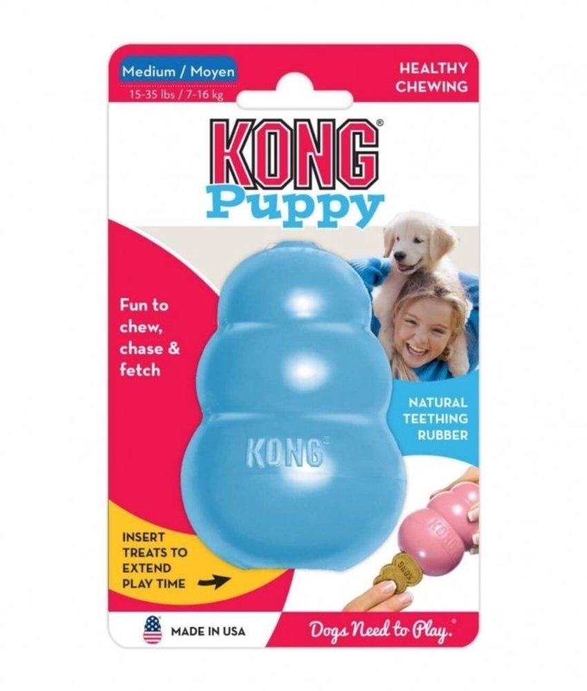 Kong Kong Puppy Kong Kong Puppy