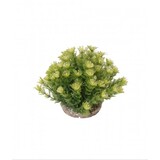 Sydeco Kunststof plant marina bowl 21 cm Sydeco Kunststof plant marina bowl 21 cm