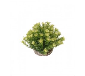 Sydeco Kunststof plant marina bowl 21 cm Sydeco Kunststof plant marina bowl 21 cm