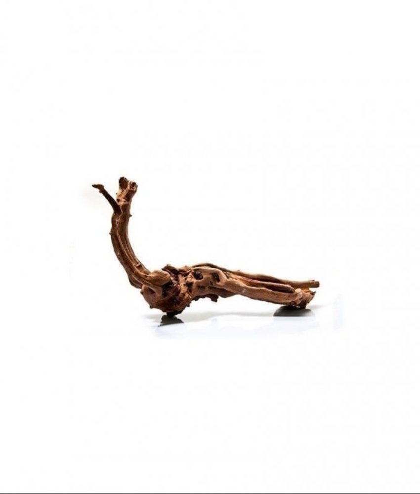 HS Aqua Producten | Alles voor een Gezond & Helder Aquarium River Wood