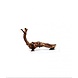 HS Aqua Producten | Alles voor een Gezond & Helder Aquarium River Wood
