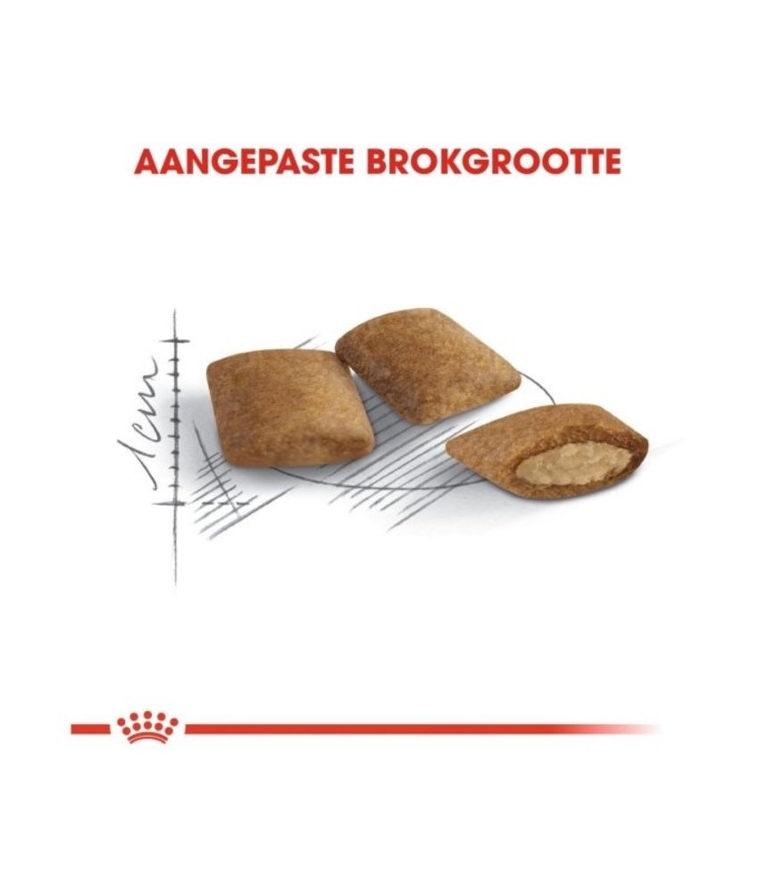 Royal Canin Royal Canin Ageing  12+ Royal Canin Royal Canin Ageing  12+