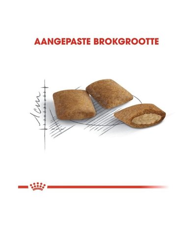 Royal Canin Royal Canin Ageing  12+ Royal Canin Royal Canin Ageing  12+