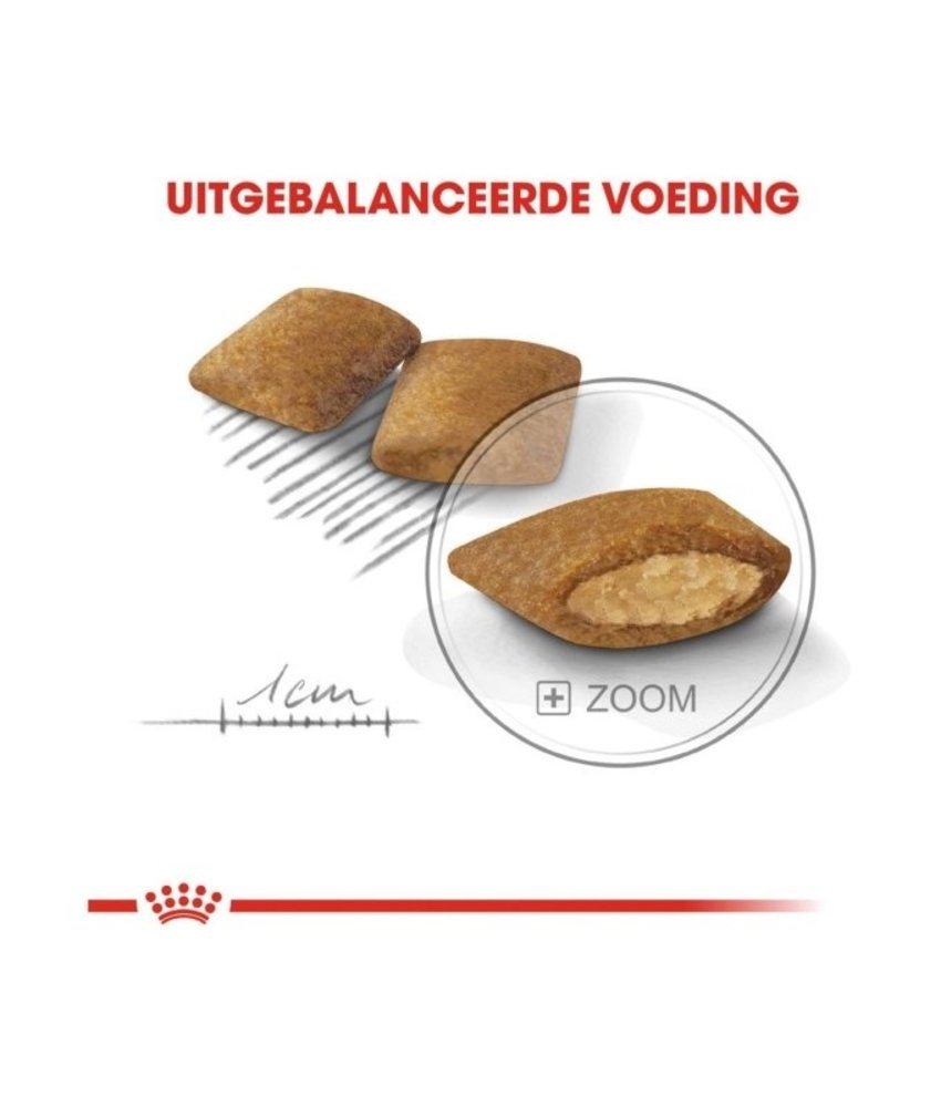 Royal Canin Royal Canin Exigent Mini 1kg Royal Canin Royal Canin Exigent Mini 1kg