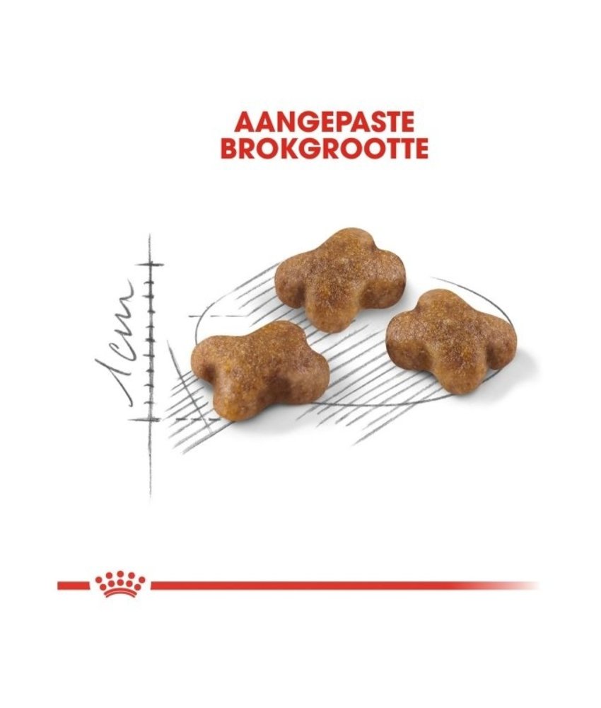 Royal Canin Royal Canin Kitten Royal Canin Royal Canin Kitten