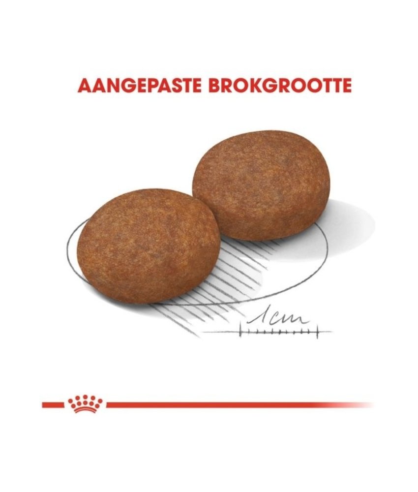 Royal Canin Royal Canin Medium Adult 7 Royal Canin Royal Canin Medium Adult 7