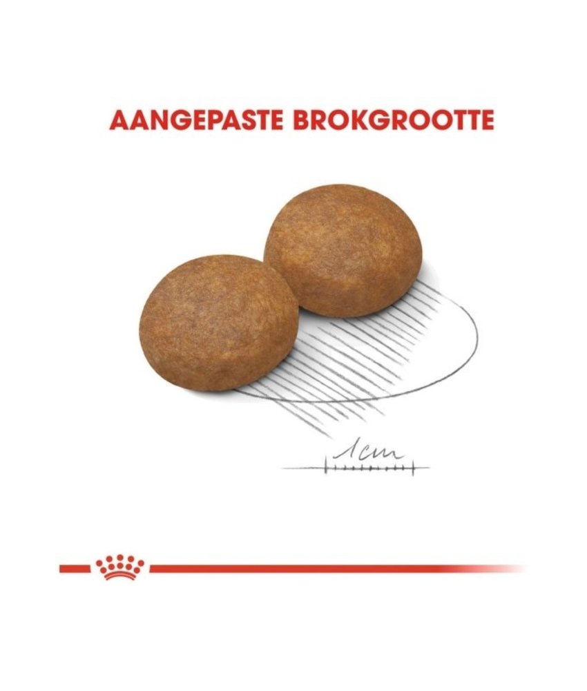 Royal Canin Royal Canin Maxi Adult 5   4kg Royal Canin Royal Canin Maxi Adult 5   4kg