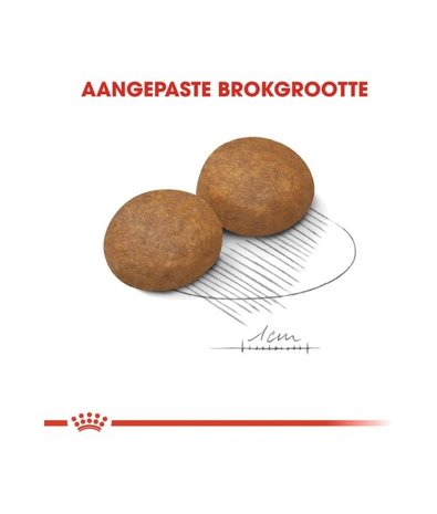 Royal Canin Royal Canin Maxi Adult 5   4kg Royal Canin Royal Canin Maxi Adult 5   4kg