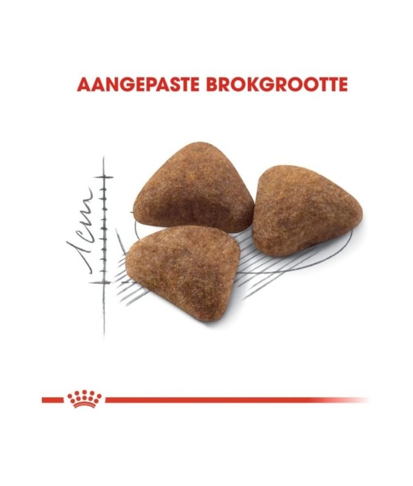 Royal Canin Royal Canin Indoor 27 Royal Canin Royal Canin Indoor 27