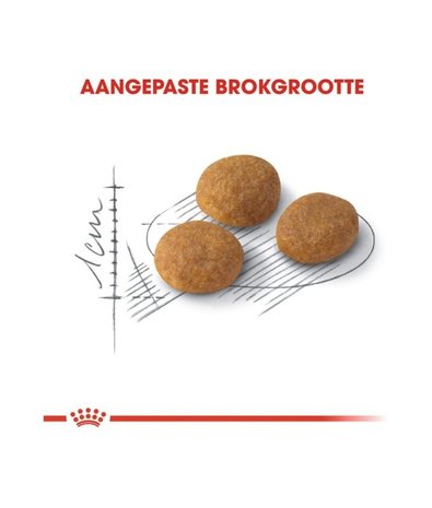 Royal Canin Royal Canin Aroma Exigent Royal Canin Royal Canin Aroma Exigent