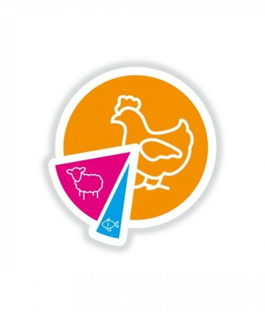 Smolke Smolke Cat Kitten Smolke Smolke Cat Kitten