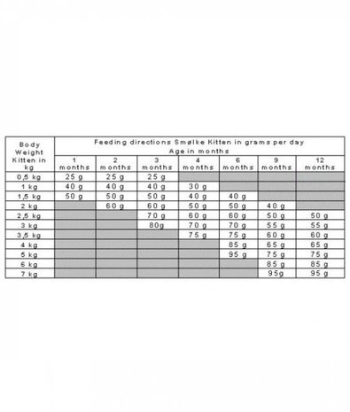 Smolke Smolke Cat Kitten Smolke Smolke Cat Kitten